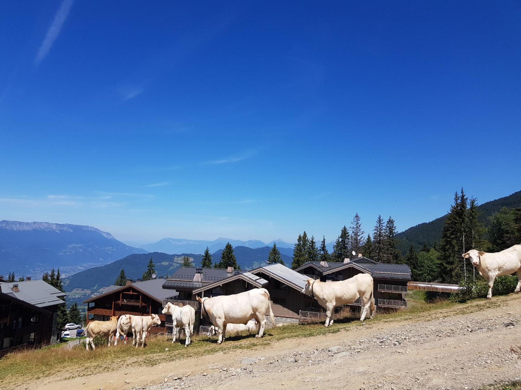Les 7 Laux Immobilier Chalet E Prapoutel Zewnętrze zdjęcie