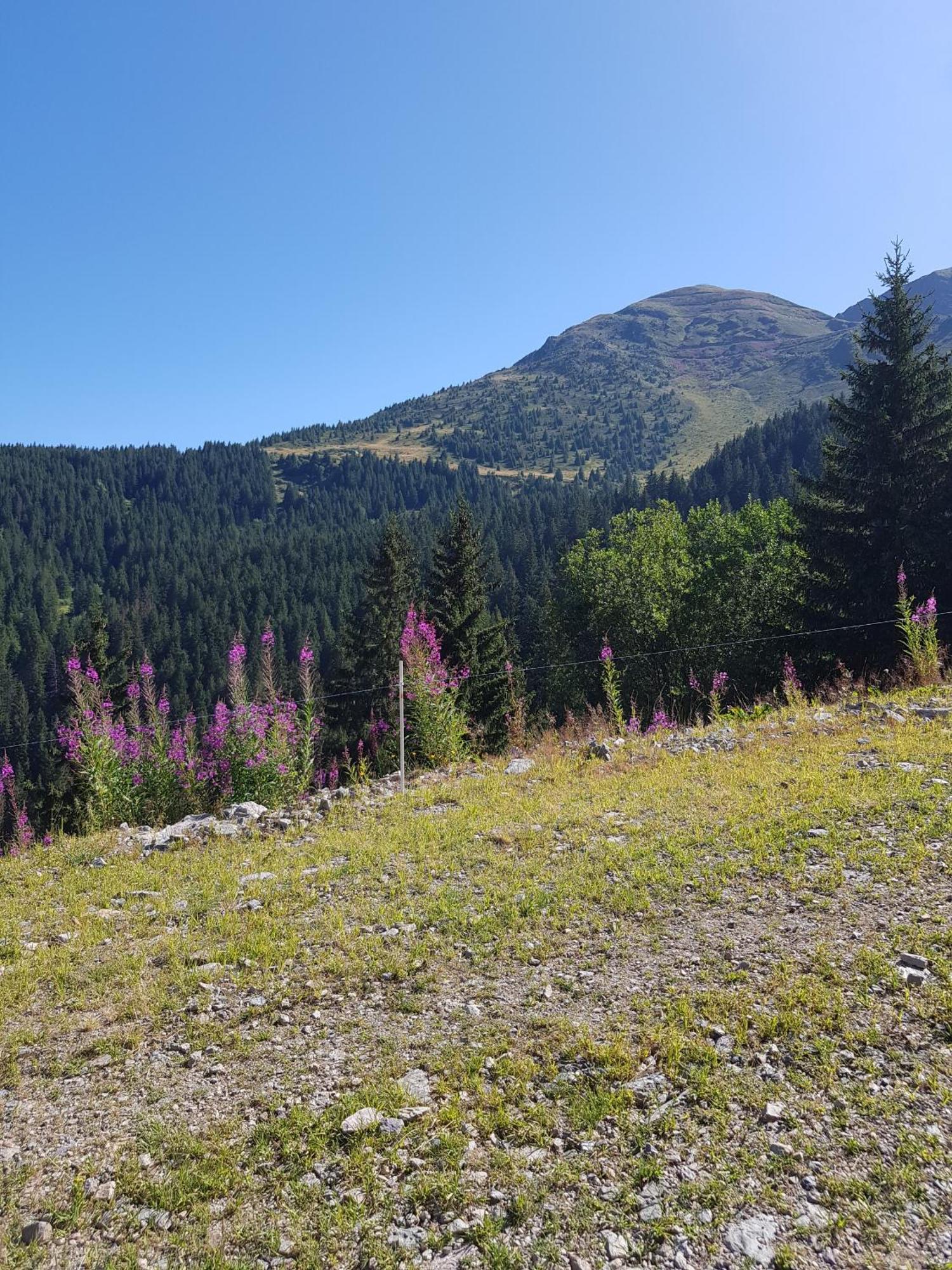 Les 7 Laux Immobilier Chalet E Prapoutel Zewnętrze zdjęcie